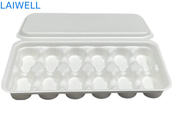Weiße Farbe Nachhaltige Bagasse Kaffeeschale Box ungiftig und sicher für Lebensmittel Kontakt biologisch abbaubar EcoPack Zubehör mit kundenspezifischer Marke